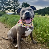 Entry image for Winnie