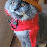 Entry image for Wyatt