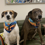 Entry image for Oliver and Frankie