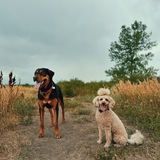 Entry image for Buster + Penny