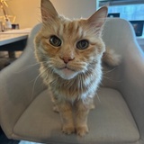 Entry image for Luke