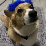 Entry image for Tito