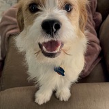 Entry image for Winnie