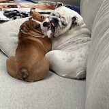 Entry image for Yeti & Griswold