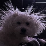 Entry image for Eddie