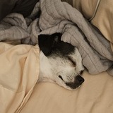 Entry image for Uma Thurman