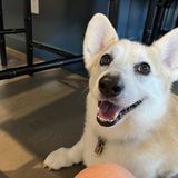 Entry image for Mabel