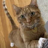 Entry image for Monzie Edward