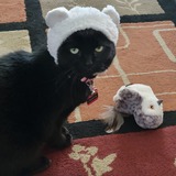 Entry image for CRYSTAL