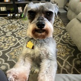 Entry image for Wyatt