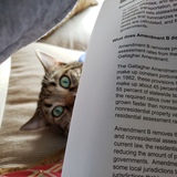 Entry image for Zadorov