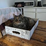 Entry image for Radar