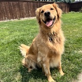 Entry image for Cass