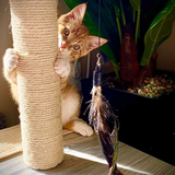 Entry image for WALL·E