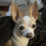 Entry image for Howard