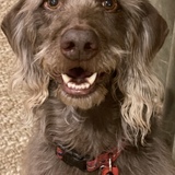 Entry image for Walter