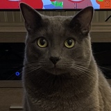 Entry image for Mikko