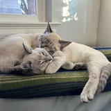 Entry image for Penny & Eleanor