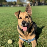 Entry image for Cudi