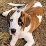 Entry image for Larson