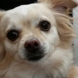 Entry image for Dakota 