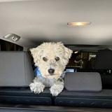 Entry image for Finley