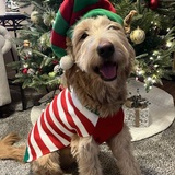 Entry image for JAXSON 