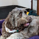 Entry image for Sally