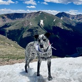 Entry image for Charlie