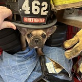 Entry image for Eggroll