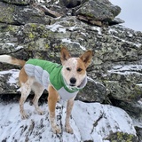 Entry image for Tessie