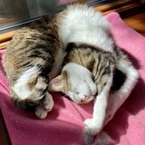 Entry image for Mateo