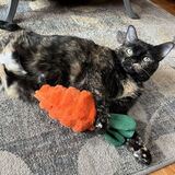 Entry image for Kali