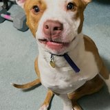 Entry image for Anthony Hendrickson 