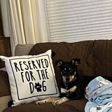 Entry image for Chloe