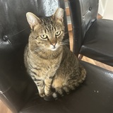 Entry image for Billy