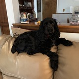 Entry image for Husker