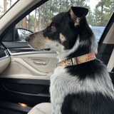 Entry image for Hope