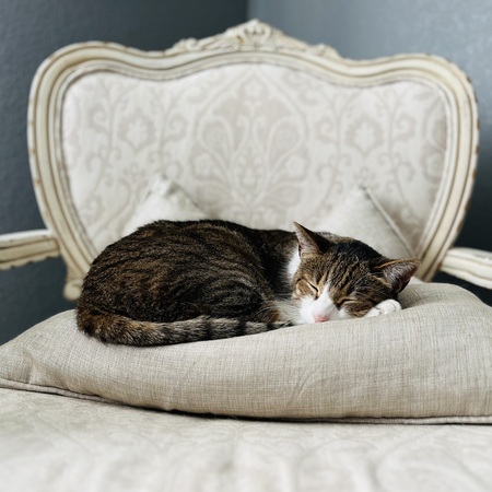 Entry image for Diego. Clicking this image will show a larger photo