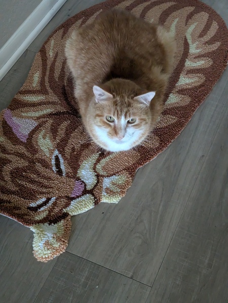 Entry image for Atlas. Clicking this image will show a larger photo