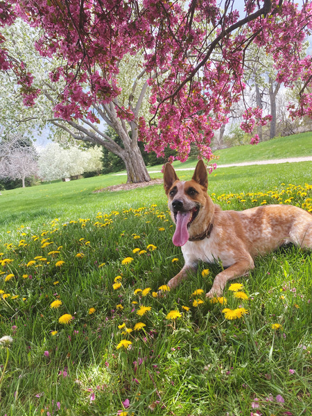 Entry image for Kuemper. Clicking this image will show a larger photo