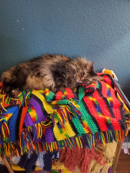 Entry image for Gibson. Clicking this image will show a larger photo