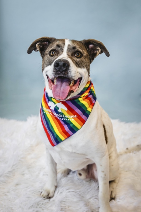 Entry image for Peter. Clicking this image will show a larger photo