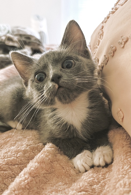 Entry image for Karl. Clicking this image will show a larger photo