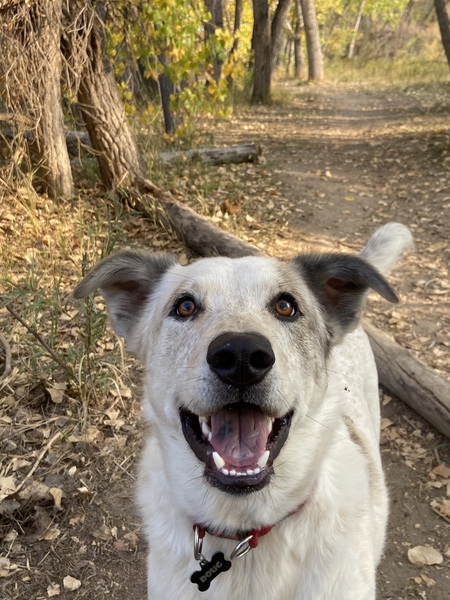 Entry image for Doug. Clicking this image will show a larger photo