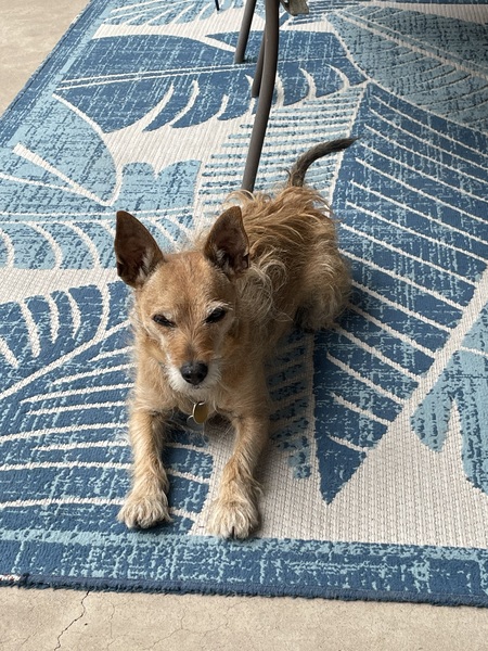 Entry image for Harmony. Clicking this image will show a larger photo