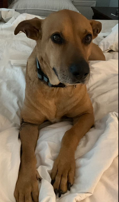 Entry image for Chance Litarowich. Clicking this image will show a larger photo