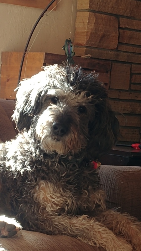 Entry image for Z. Clicking this image will show a larger photo