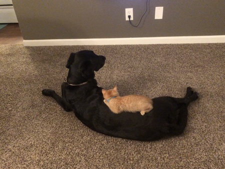 Entry image for Jazmine. Clicking this image will show a larger photo