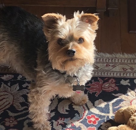 Entry image for Sergio. Clicking this image will show a larger photo